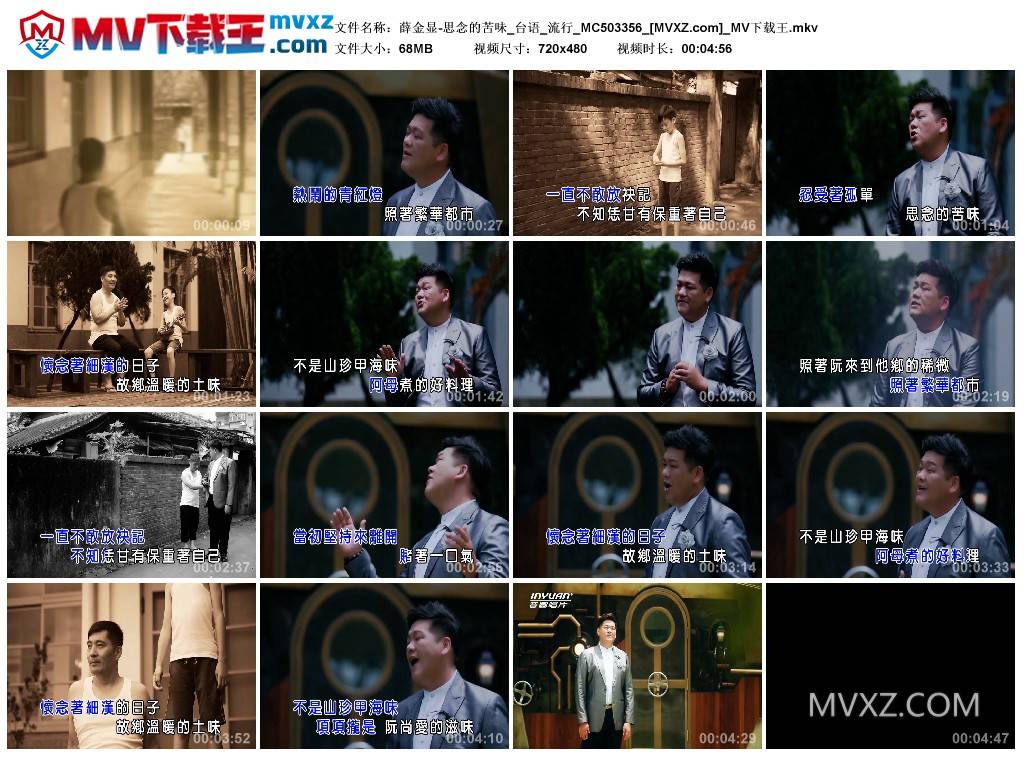 薛金显-思念的苦味_台语_流行_MC503356